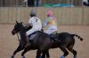 Oxford Polo 2022_12_11 0084